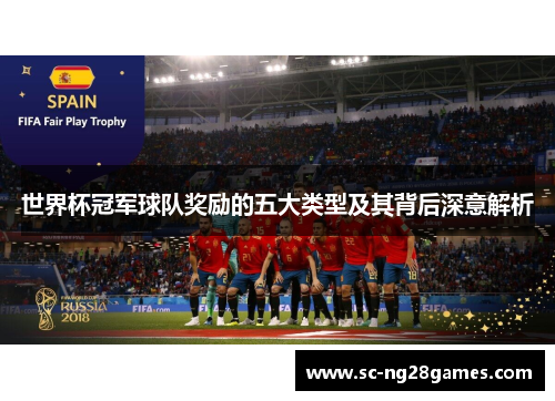 世界杯冠军球队奖励的五大类型及其背后深意解析