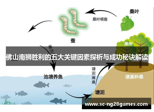 佛山南狮胜利的五大关键因素探析与成功秘诀解读