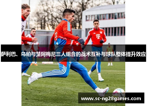 萨利巴、乌帕与楚阿梅尼三人组合的战术互补与球队整体提升效应
