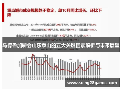 马德鲁加转会山东泰山的五大关键因素解析与未来展望