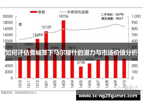 如何评估曼城签下马尔穆什的潜力与市场价值分析 如何评估曼城签下马尔穆什的潜力与市场价值分析